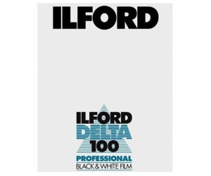 Ilford Delta 100 8x10"